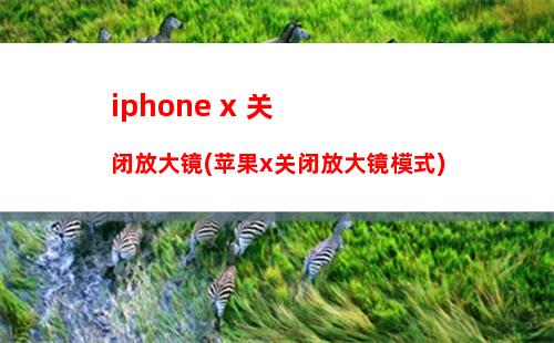 iphone x 关闭放大镜(苹果x关闭放大镜模式)